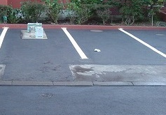 DSCF2047.jpg